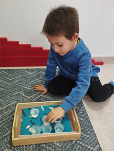 Montessori actividad sensorial