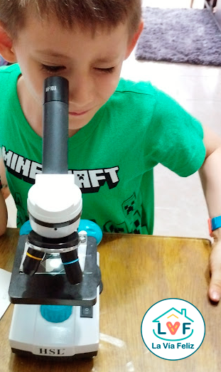 Niño usando microscopio en casa